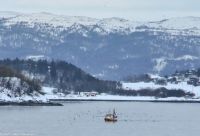 Fischerboot im Trondheimfjord