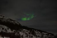 Nordland - Lady Aurora zwischen Rørvik und Brønnøysund