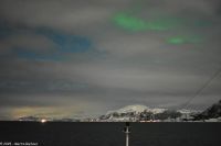Nordland - Lady Aurora zwischen Rørvik und Brønnøysund