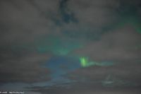 Nordland - Lady Aurora zwischen Rørvik und Brønnøysund