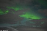 Nordland - Lady Aurora zwischen Rørvik und Brønnøysund