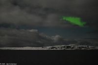Nordland - Lady Aurora zwischen Rørvik und Brønnøysund