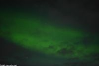 Nordland - Lady Aurora zwischen Rørvik und Brønnøysund
