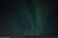 Nordland - Lady Aurora zwischen Rørvik und Brønnøysund