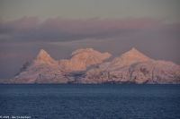 Provinz Nordland - Nord-Helgeland - Fugleøya
