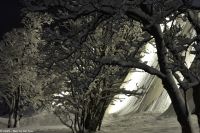 Tromsø - Eismeerkathedrale - Ishavskatedralen - Tromsdalen kirke