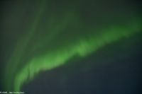 Båtsfjord - wer zeigt sich denn da - die schüchterne Lady Aurora