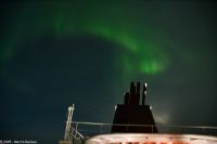Båtsfjord - wer zeigt sich denn da - die schüchterne Lady Aurora