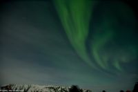 Båtsfjord - wer zeigt sich denn da - die schüchterne Lady Aurora