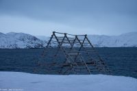 Hammerfest - Stockfisch-Trockengestell