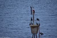 Trøndelag - Offene Meeresstrecke - die Ruhe vor dem Sturm (Orkan)