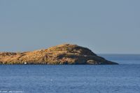 Wer sitzt denn da auf dieser Insel (ganz oben auf der Kuppe)?