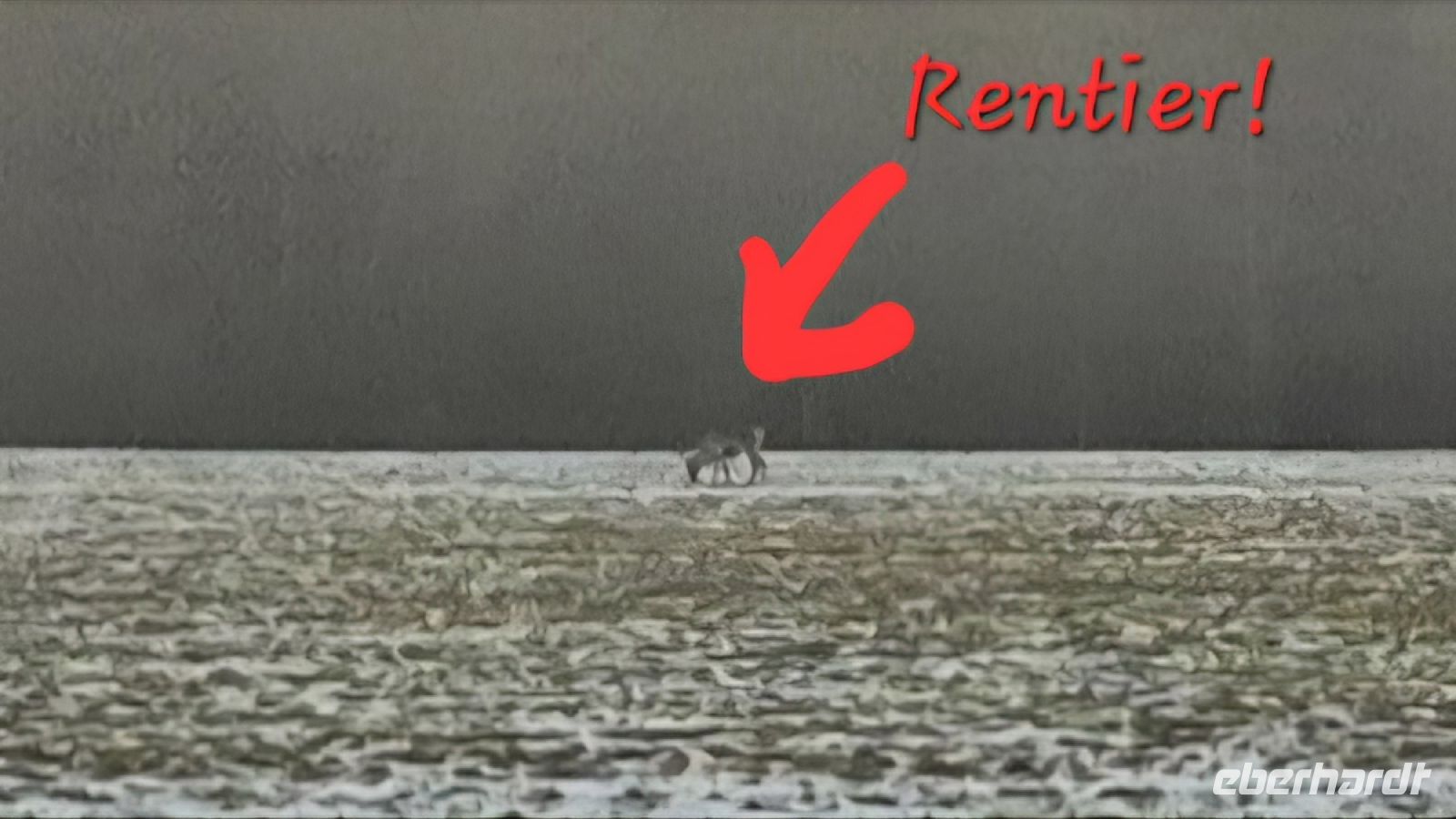 Zugfahrt mit der Nordlandsbahn