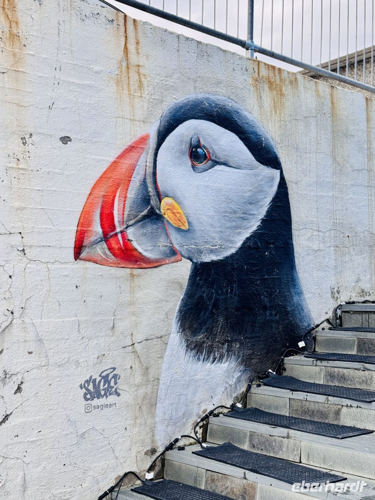 Tag 6 - Honningsvåg