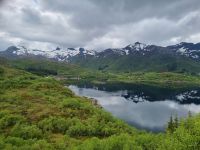 Lofoten - Insel Austvågøya  (Austnesfjord)