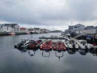 Lofoten - Insel  Austvågøya (Henningsvær)