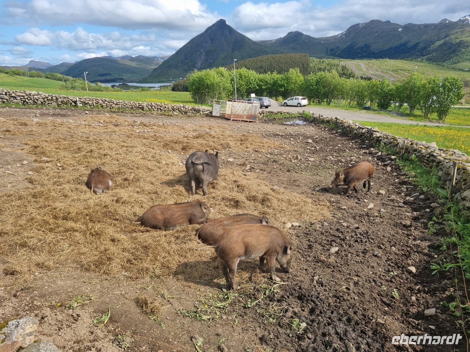 Lofoten - Insel Vestvågøy (Wikingermuseum in Borg)