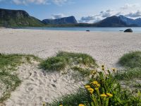 Lofoten - Insel Vestvågøy (Haukland-Strand)