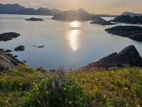 Lofoten - Insel Vestvågøy (Statles Rorbusenter)