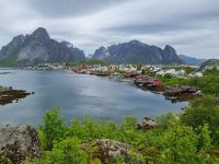 Lofoten - Insel Moskenesøy (Reine)