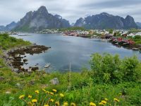 Lofoten - Insel Moskenesøy (Reine)