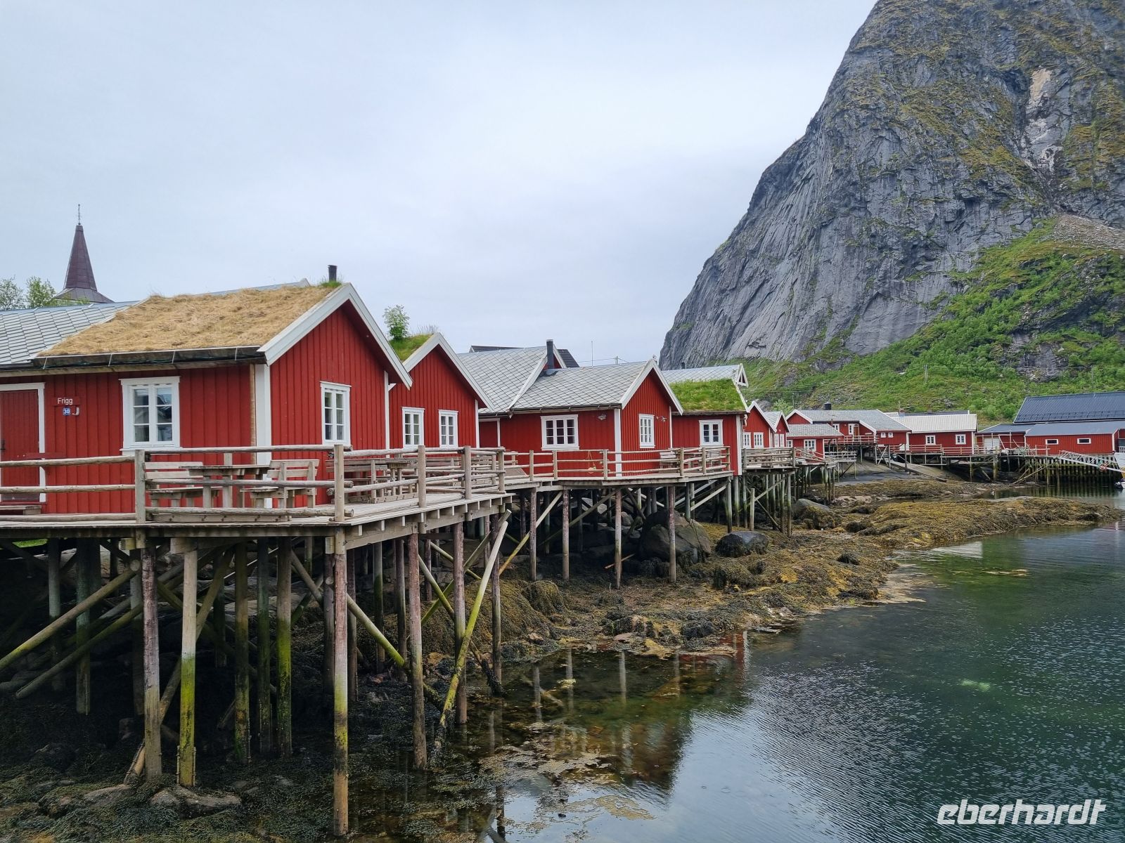 Lofoten - Insel Moskenesøy (Reine)