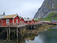 Lofoten - Insel Moskenesøy (Reine)