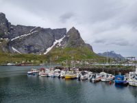 Lofoten - Insel Moskenesøy (Reine)