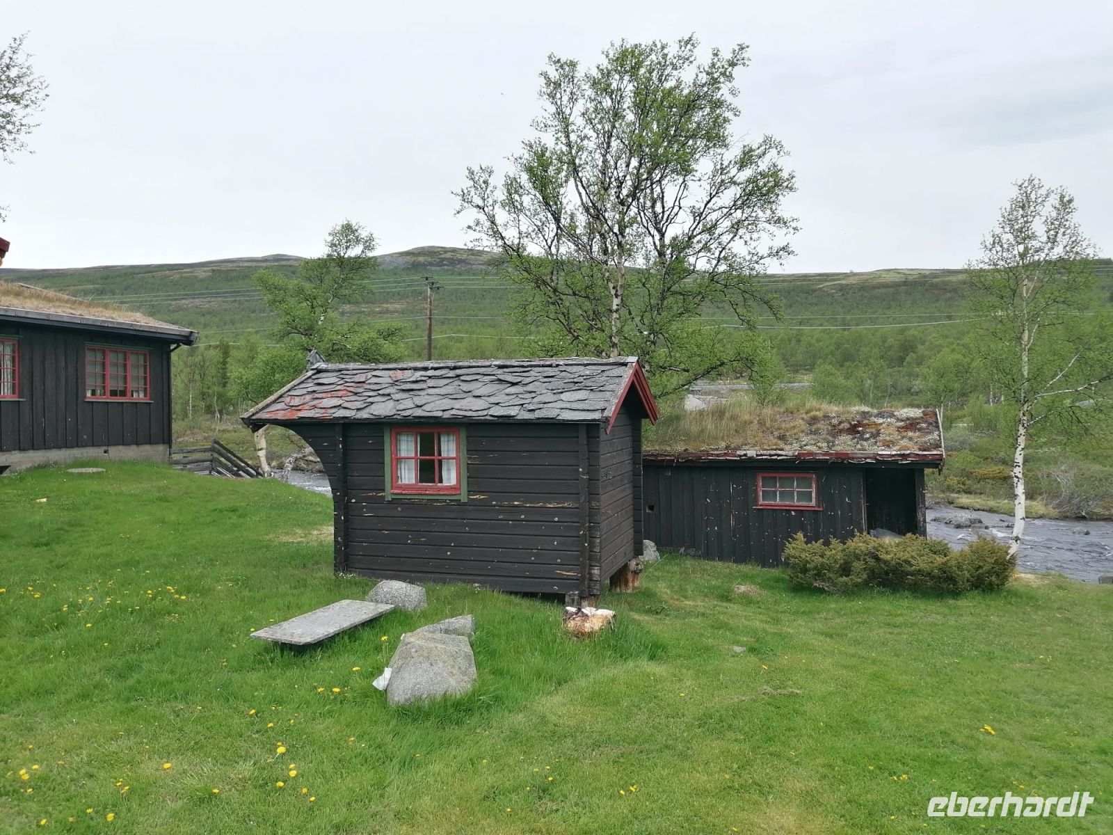 Dovrefjell - Dovrefjell (Dovregubbens Hall)