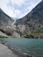 Eine wilde Schönheit....