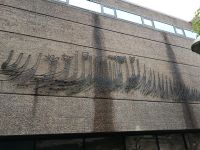 Siehst du die Schiffe?