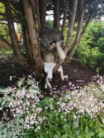 Das muss ein Blumentroll sein...