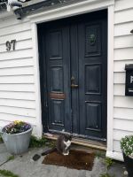 Auch die Katzen können ein Türsteher sein...