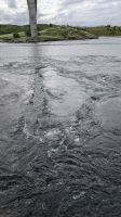20250625_13 Saltstraumen.jpg