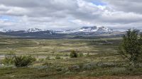 20250627_11 Dovrefjell mit Trollheimen im Hintergrund.jpg