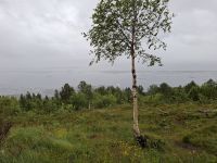 Blick vom Aussichtsberg Varden (Molde) bei miesem Wetter