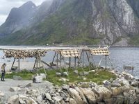 Rundfahrt auf den Lofoten 