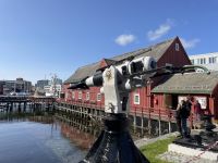 Rundgang durch Tromsø