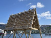 Rundgang durch Tromsø