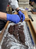 Zurück auf dem Schiff