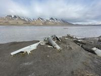 Ausflug auf Spitzbergen rund um Longyearbyen