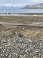 Ausflug auf Spitzbergen rund um Longyearbyen - wir stoppen an der größten Sammenbank der Welt