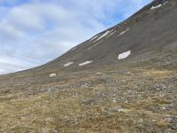 Ausflug auf Spitzbergen rund um Longyearbyen