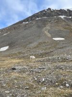 Ausflug auf Spitzbergen rund um Longyearbyen