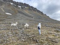 Ausflug auf Spitzbergen rund um Longyearbyen
