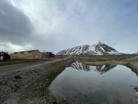 Spitzbergen - Ny Alesund