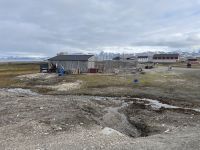 Spitzbergen - Ny Alesund