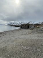 Spitzbergen - Ny Alesund 