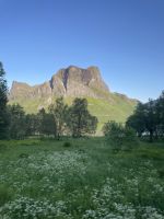 Ausflug auf der Insel Senja