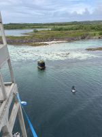 Weiterfahrt von Brønnøysund